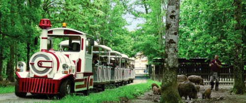 Red and white tourist train with passengers near forest trees at Les gîtes des châteaux, Vallières-les-Grandes