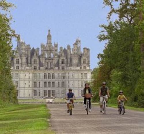 Family cycling toward grand château, Les gîtes des châteaux, Vallières-les-Grandes
