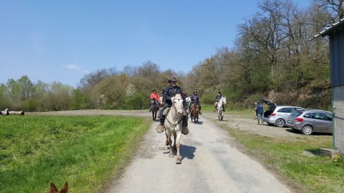 Groupe de randonnée équestre guidée sur sentier rural au Château d'Hassonville, Marche-en-Famenne, Belgique
