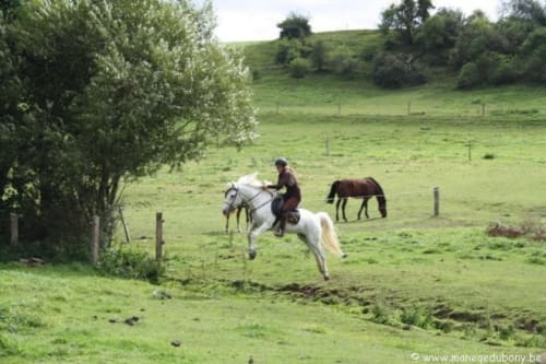Cavalier à cheval blanc dans les prés verts du Château d'Hassonville, Belgique