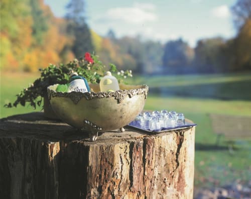 Outdoor beverage station at Château d'Hassonville with potted plants and glasses on rustic tree stump, countryside view