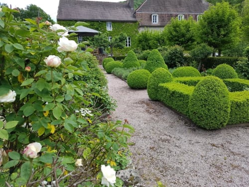 Tuinpad van Moulin Renaudiots met witte rozen, vormgesnoeide struiken en met klimop bedekte stenen huis in Autun