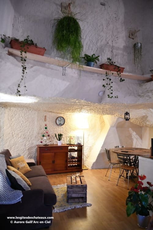Salon cosy d'un gîte troglodyte aux Gîtes des châteaux : murs en pierre blanche, plantes suspendues, meubles bois