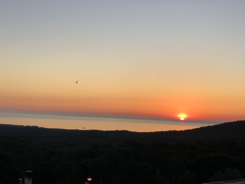 Sonnenuntergangsblick über eine Waldlandschaft vom Gästehaus Ty Pals in Pals, Spanien, mit Vögeln im orangefarbenen Himmel