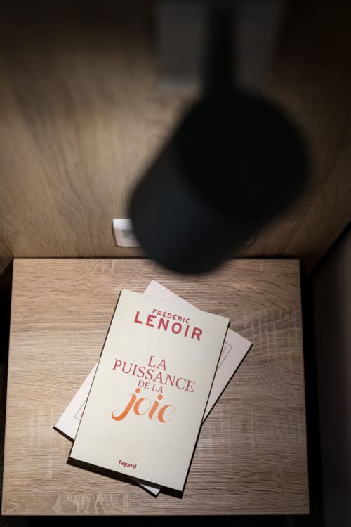 Livre français « La Puissance de la Joie » sur un bureau en bois à la maison d'hôtes Un Air De Famille à Vittel