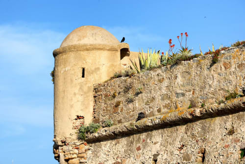 Algajola Corse