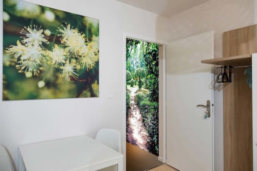 Entrée du studio moderne à Un Air De Famille, Vittel. Murs blancs, porte en bois, œuvre florale, vue sur le jardin.