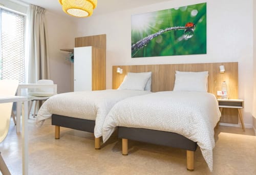 Chambre moderne avec lits jumeaux à Un Air De Famille à Vittel, têtes de lit en bois et décoration nature
