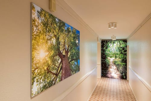 Couloir de l'Un Air De Famille B&B avec œuvres d'art nature et vue sur le corridor forestier, Vittel