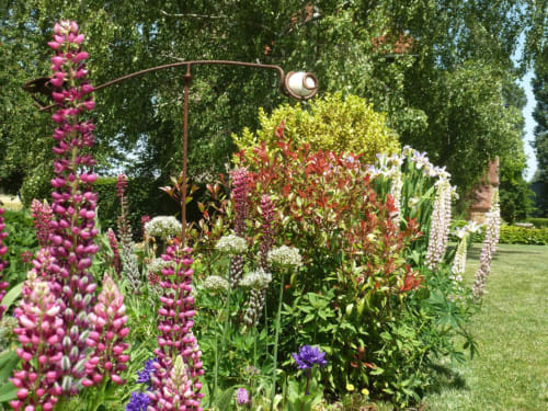 The flower garden of our Charming Guest House