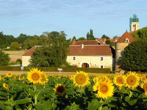 The Château de Ribourdin, guest house in the middle of the fields of sunflowers 