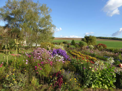 The flowered vegetable garden of the Château de Ribourdin, guest house near Chablis