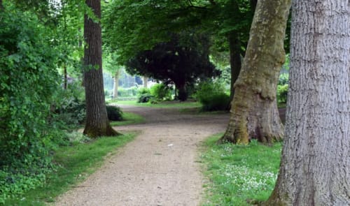 Ecobalade in Auxerre : discover nature step by step