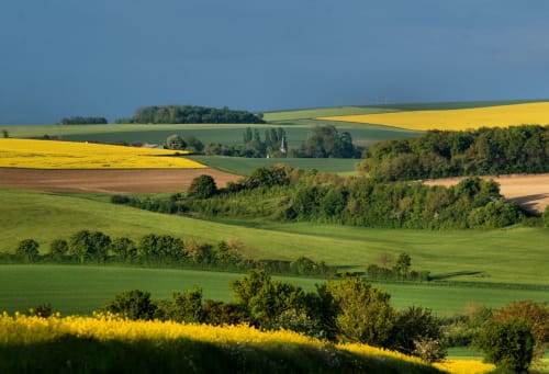 Explore the Puisaye and its bocage during your holiday at the Château de Ribourdin 
