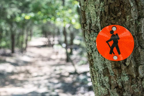 The GR13 allows you to reach the Morvan via the Cure valley all along its 160 km path.