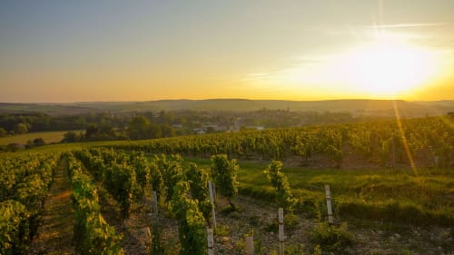 Admire magnificent sunsets over the Auxerrois vineyards and taste a grand cru 