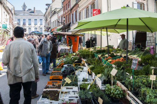 Traditional markets such as the Toucy market to taste all the gastronomic specialties of Burgundy 