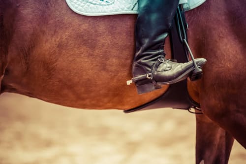 Equestrian centers near the guest rooms of the Château de Ribourdin 