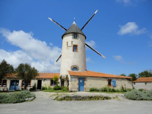 Moulin de Rairé  a vent en activité depuis  XVI siècle Sallertaine vendée