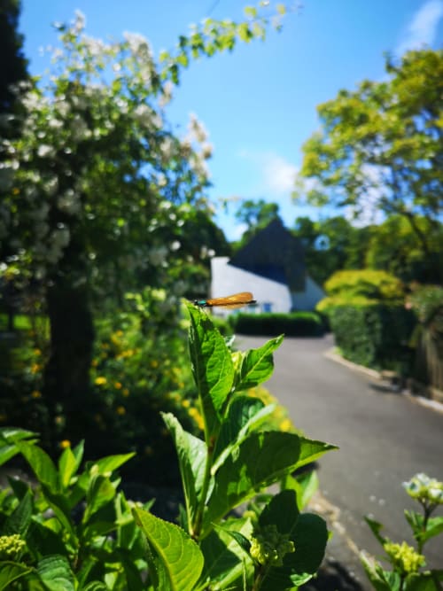La Rivière, gîte de charme en amoureux et couple en Bretagne (Finistère)