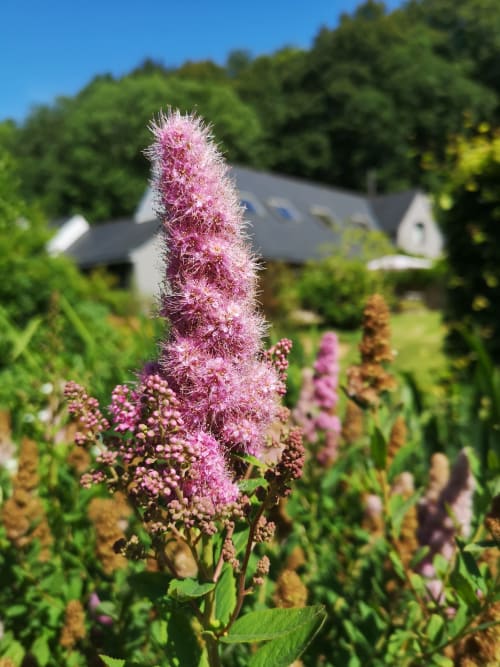La Rivière, gîte de charme en amoureux et couple en Bretagne (Finistère)