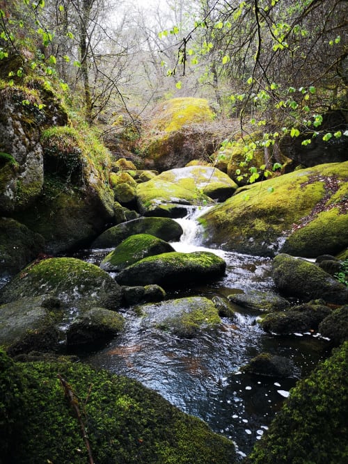 Huelgoat, Gîtes du Bulz