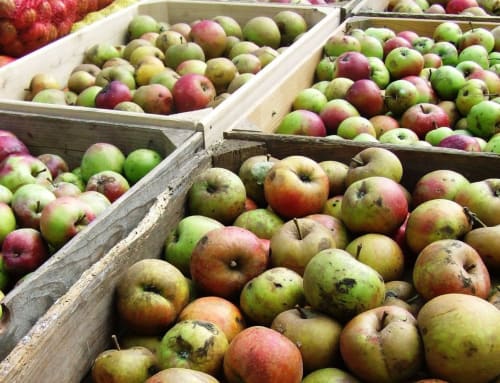 Pommes