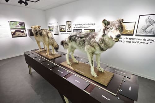 Musée du Loup, Gîtes du Bulz, 3 maisons de vacances entre la Baie de Morlaix et les monts d’Arrée (Bretagne)