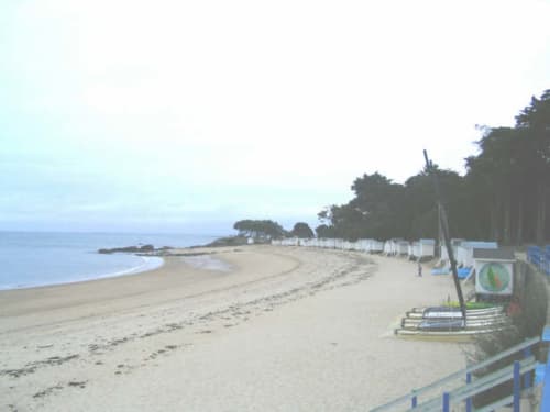 plage des dames gîte fleur de sel  Noirmoutier en L île