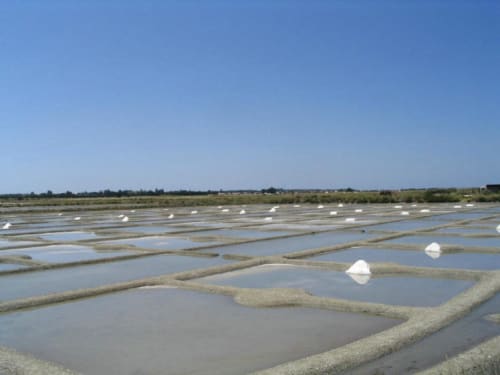 marais salant gîte fleur de sel  Noirmoutier en L île