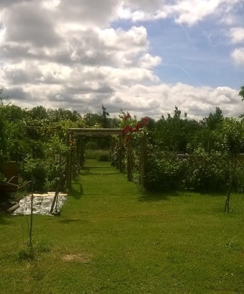 Le jardin de La ferme aux fleurs