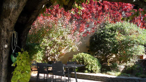 photo d'automne