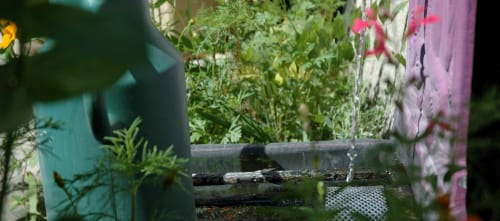 Notre source dans le jardin