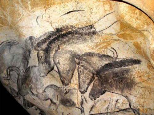 A 35 mn de la grotte chauvet