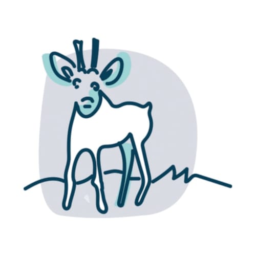 Whimsical line-drawn giraffe illustration for l'Atelier des Dépendances B&B in Lipsheim