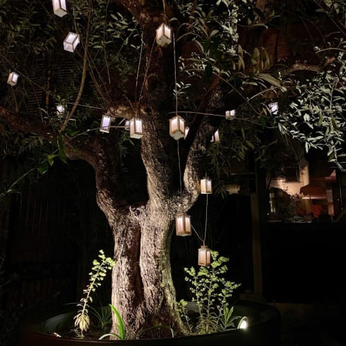 Vue nocturne des lanternes suspendues illuminées ornant un arbre centenaire à l'hôtel-boutique La Tour Grégoire à Clermont-Ferrand