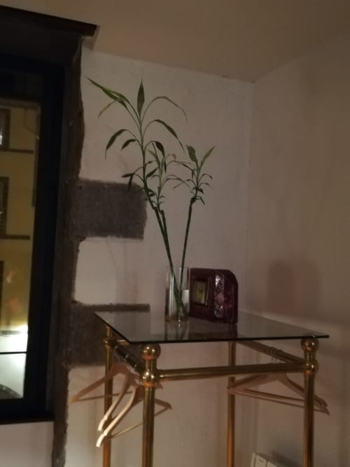 Table basse en verre avec plante en pot dans la Chambre Pariou à La Tour Grégoire, Clermont-Ferrand