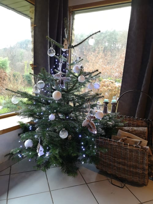 Mon beau sapin... - GITES DU BULZ