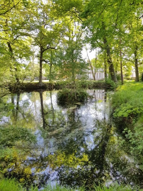 reflet