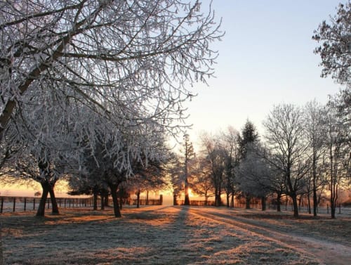 soleil levant ;un matin d 'hiver