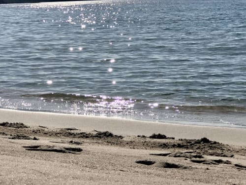 Plage de sable avec bois flotté aux Villas Marincelu, Porto Pollo, Corse, avec une mer turquoise étincelante et des vagues