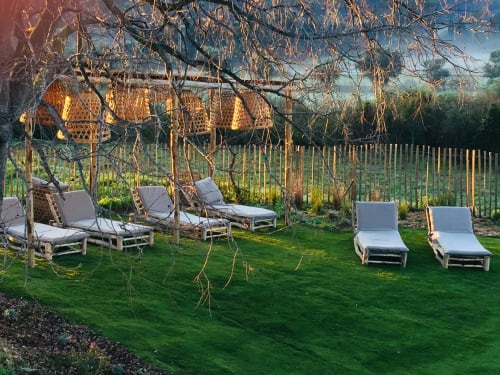 Peaceful garden lounge area at Saint Martin B&B in Ollioules with sunbeds beneath willow trees and metal fencing