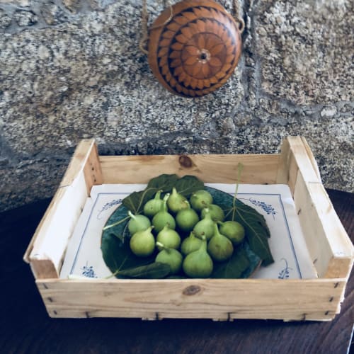 Figues vertes fraîches dans un plateau en bois aux Villas Marincelu, Corse. Exposition de produits locaux dans l'établissement hôtelier.