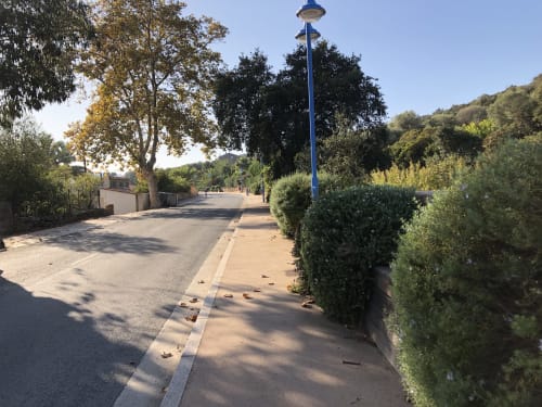 Tree-lined pathway at Villas Marincelu in Serra di Ferro, Corsica, with blue street lamp and road ahead