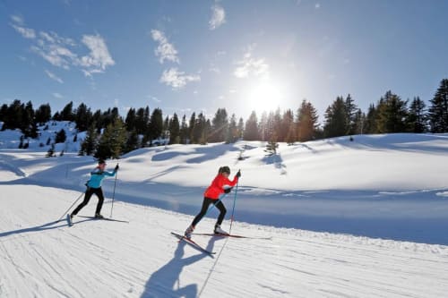 Skieurs de fond sur les pentes enneigées près de La Petite étoile D'hôtes En Mercantour à Saint-Dalmas-le-Selvage