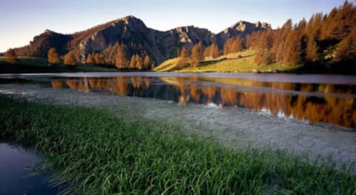 Lac alpin entouré de mélèzes dorés et de montagnes près de Saint-Dalmas-le-Selvage, région du Mercantour en France