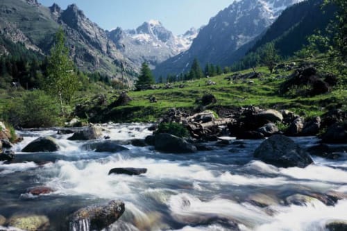 Vallée alpine avec ruisseau tumultueux, prairies verdoyantes et pics enneigés près de Saint-Dalmas-le-Selvage