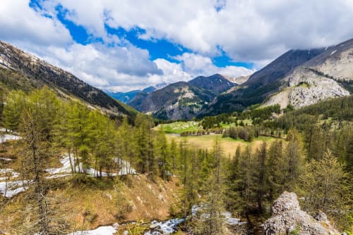 Vallée alpine avec forêts de conifères, montagnes et prairies près de Saint-Dalmas-le-Selvage en région de Mercantour