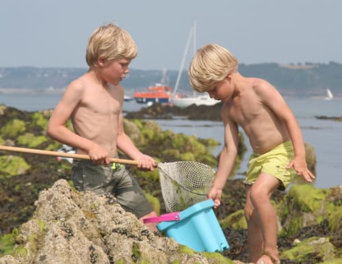 Pêche à pied à Locquirec - GITES DU BULZ