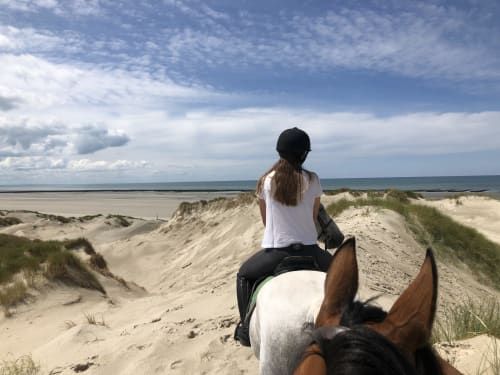 Balade à cheval sur les dunes côtières près de La Tour Blanche, Forest-Montiers, avec vue sur la plage et la mer.